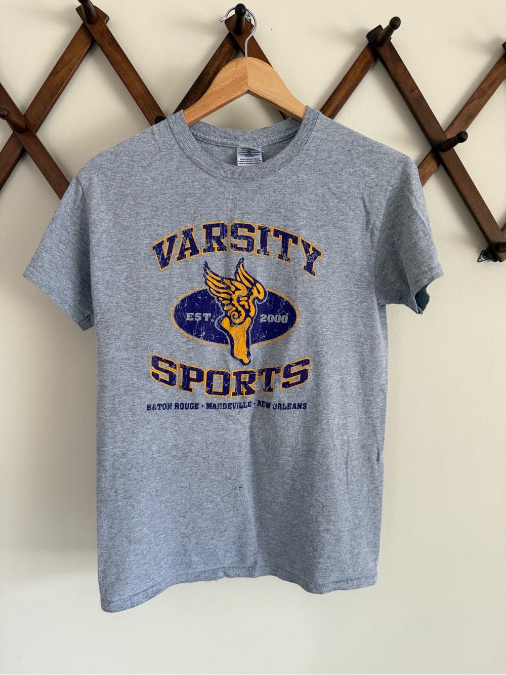 Gildan Gray Varsity Sports Short-Sleeve Tee with Blue and Gold Graphic